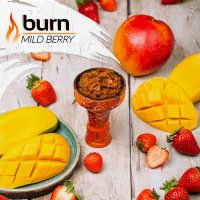 Табак Burn - Mild Berry (Манго-Земляника)