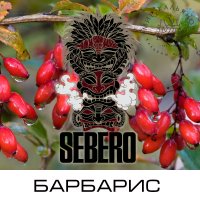 Табак Sebero - Барбарис