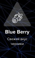 Табак Spectrum Hard Line - Blue Berry (Черника)