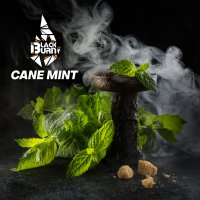 Табак Black Burn - Cane Mint (Мята)