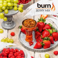 Табак Burn - Berry Mix (Ягодный микс)