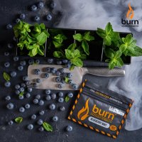 Табак Burn - Blueberry Mint (Черника с мятой)