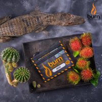 Табак Burn - Cactus (Кактус)
