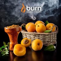 Табак Burn - Juicy Apricot (Абрикос)