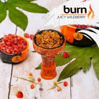 Табак Burn - Juicy Wildberry (Земляника)