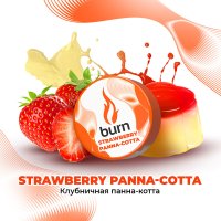 Табак Burn - Strawberry Panna Cotta (Клубничная панна-котта)