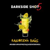 Табак Dark Side Shot - Ладожский вайб