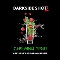 Табак Dark Side Shot - Северный трип