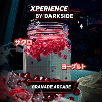 Табак Dark Side Xperience - Granade Arcade (Йогурт и гранат)