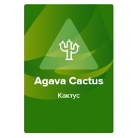 Табак Spectrum - Agava Cactus (Кактус)