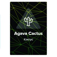 Табак Spectrum Hard Line - Agava Cactus (Кактус)